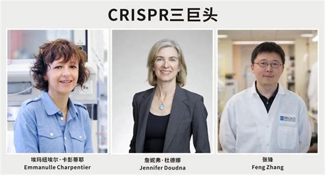 2020诺贝尔化学奖花落“基因剪刀”，张锋错失诺奖，crispr三巨头“恩怨”落幕？ 生物探索