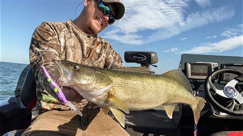 Trolling For Lake Erie Walleyes Non Stop Action Youtube