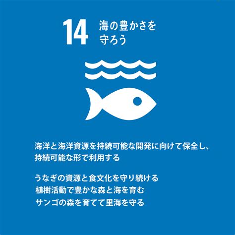 Sdgs 14海の豊かさを守ろう｜生活協同組合パルシステム山梨 長野｜生協・山梨 長野・coop