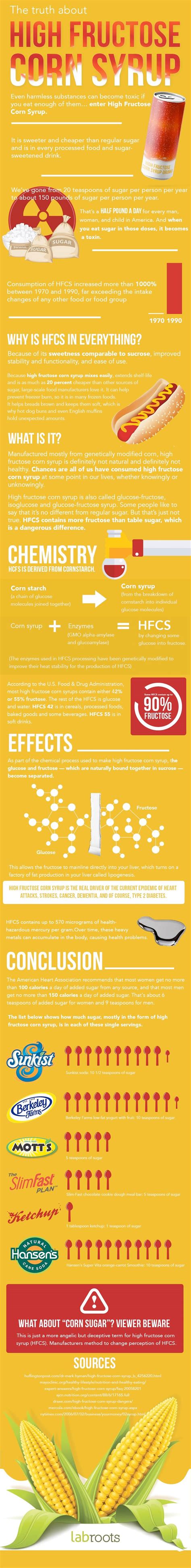 The Truth About High Fructose Corn Syrup Infographics