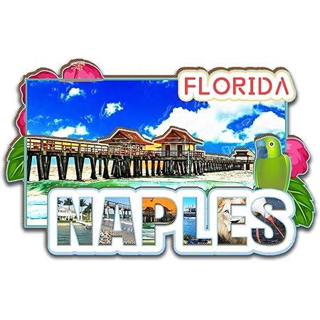 Amazon Naples Florida USA Magnet Fridge Magnet Wooden 3D Landmarks