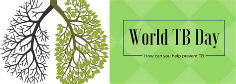 How Can You Help Prevent The Spread Of Tuberculosis Slice Of Health