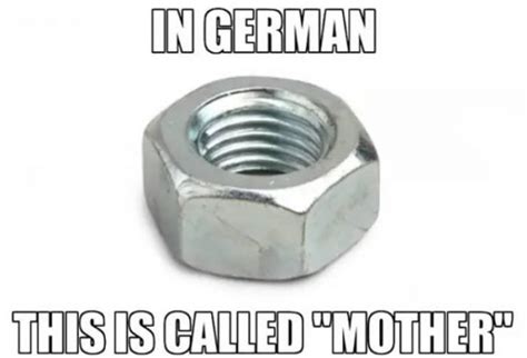 German Language Memes 50 Pics