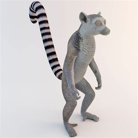 Ring Tailed Lemur 3d Model 99 3ds Max Ma Obj Lwo C4d Free3d