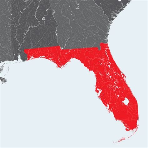 Estados Unidos Mapa De Florida Hecho A Mano Se Muestran R Os Y