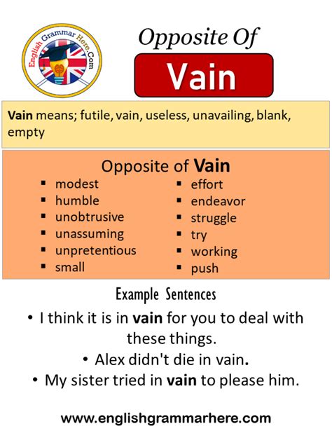 Opposite Of Vain, Antonyms of Vain, Meaning and Example Sentences ...