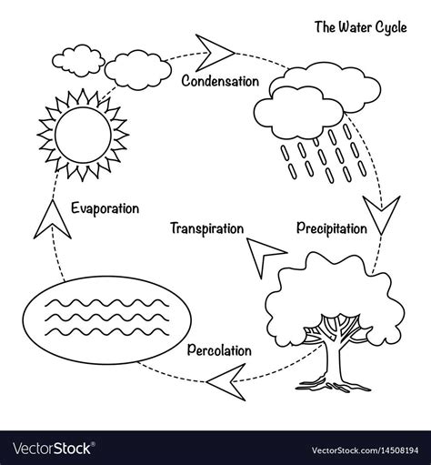 Water Cycle Printable Worksheet