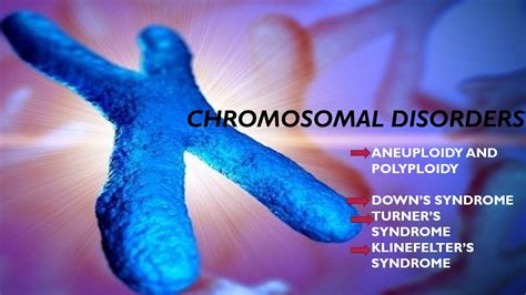 Chromosomal Disorders Genetics Neet Class Youtube