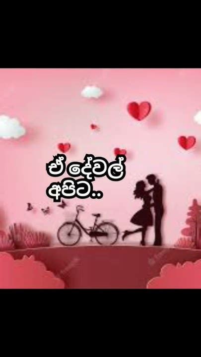 සමහර දේවල් වලට අපි කොච්චර ආදරේ කළත් 😍 Youtube