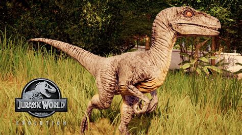 RAPTORES DESCONTROLADOS No Jurassic World Evolution 24 YouTube