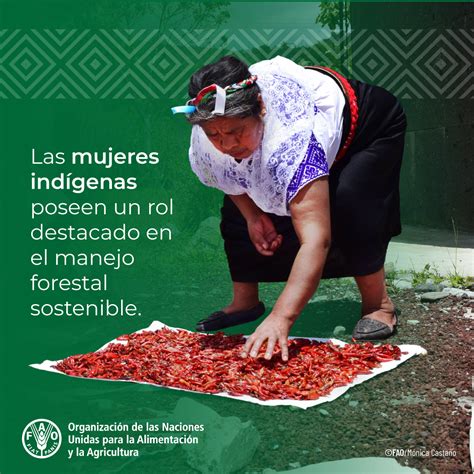 Fao Honduras On Twitter La Mujer Ind Gena Posee Un Rol Destacado En