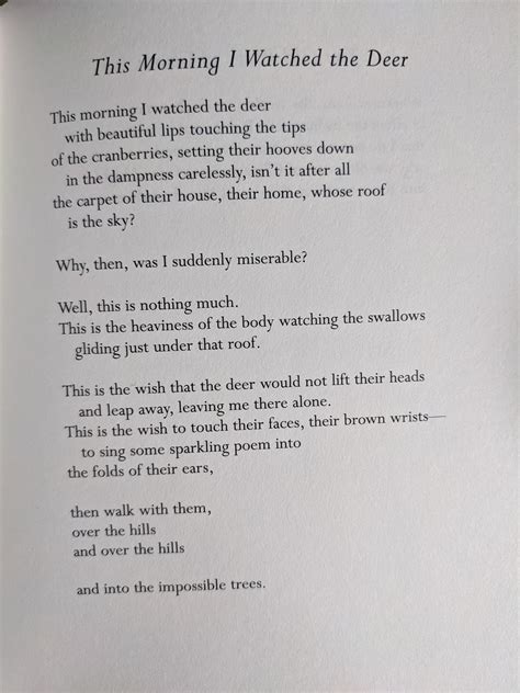 [poem] This Morning I Watched The Deer By Mary Oliver R Poetry