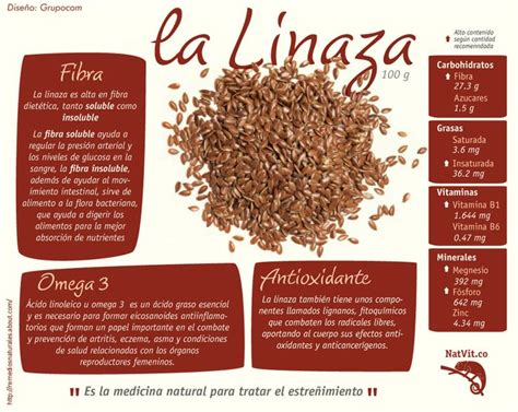 Beneficios para la salud de la linaza Infografías y Remedios