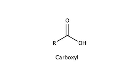 What Does A Carboxyl Group Look Like Quizlet