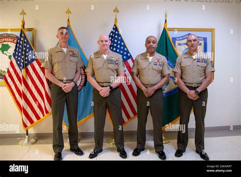 Asesores Del Cuerpo De Marines Fotograf As E Im Genes De Alta