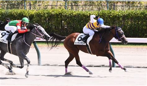 【新馬戦】セイウンサニー 力強く抜け出しv 永野「背中がいい」「芝でも走れそう」 競馬ニュース Netkeiba