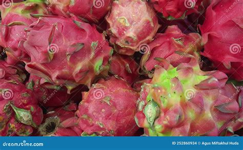 Pitaya Buah Naga Dragon Fruit Stock Photography Cartoondealer