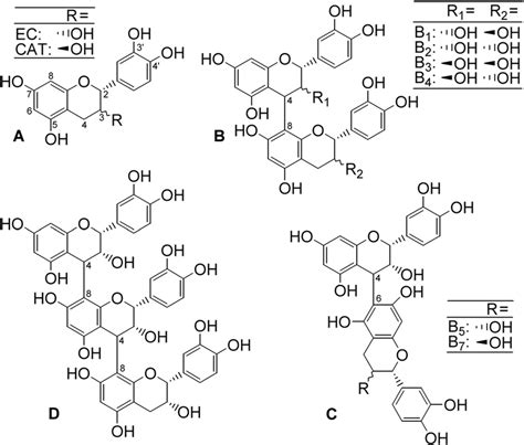 Chemical Structures Of The Investigated Flavanols A Catechins B Download Scientific Diagram