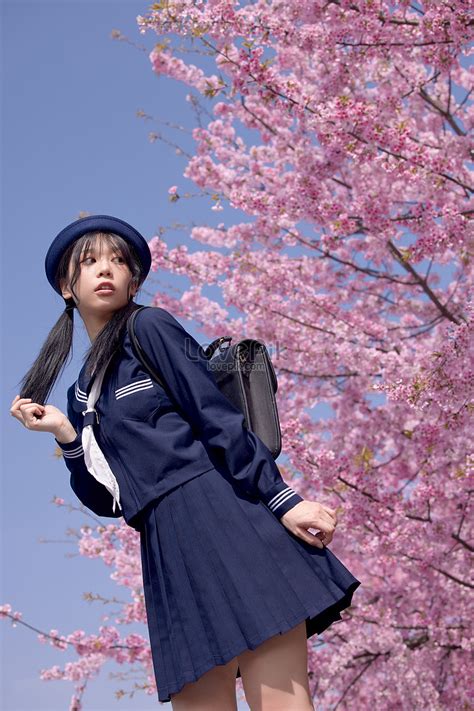 School Uniform Beauty In Early Spring To Enjoy Cherry Blossoms Picture ...