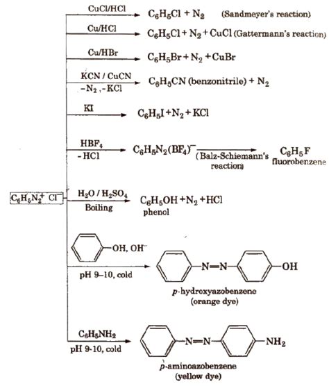 CBSE Class 12 Chemistry Notes : Amines | AglaSem Schools