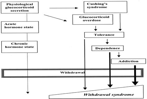 Glucocorticoid Withdrawal Syndrome The Endocrinologist