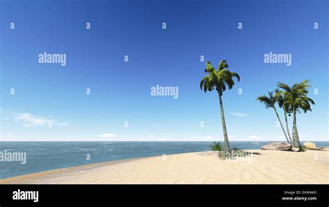 coconuts on the beach Stock Photo - Alamy