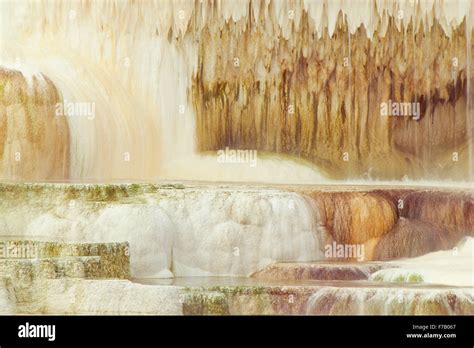 Travertine Terraces At Mammoth Hot Springs In Yellowstone National Park Wyoming Stock Photo Alamy