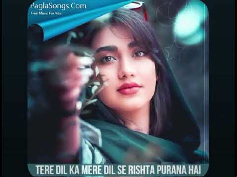 Tere Dil Ka Mere Dil Se Rishta Purana Hai Lyrics Sonu Nigam