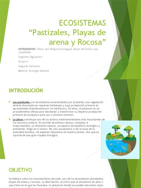 Ecosistema Playas De Arena Y Rocosa Matorrales Pdf Playa Ecosistema