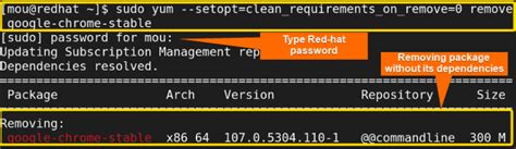 How To Force Remove A Package Without Dependencies Using Yum Methods