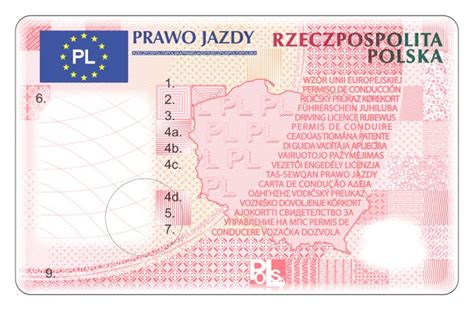 Nowy wzór prawa jazdy od 4 marca Bez adresu Telewizja Polska SA