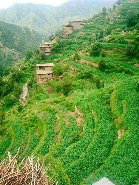 Nuristan prvince of afghanistan نورستان ولایت | Afghanistan landscape, Afghanistan culture ...