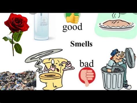 Good Smell and Bad Smell Lesson #senseofsmell #fivesenses - YouTube