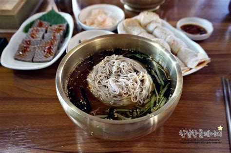 평창 봉평 맛집 고향막국수 메밀물막국수 메밀묵 메밀전병 네이버 블로그