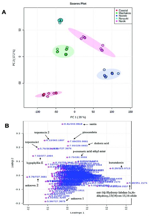 A Principal Component Analysis Pca Score Plot Showing Variation Of Download Scientific