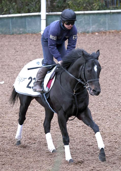 【阪急杯】3連勝中アグリが重賞初挑戦 安田隆師「ダイアトニック2世になってほしい」 Umatoku 馬トク