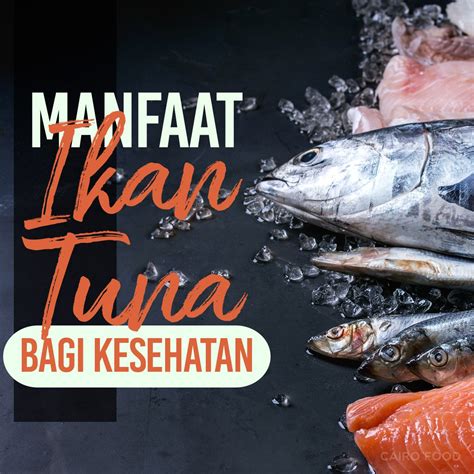 Manfaat Ikan Tuna Bagi Kesehatan Tubuh Manusia Cairo Food