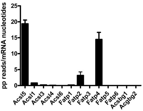 Acsl And Fatp Are The Two Predominant Lcfa Coa Synthetases In Mouse