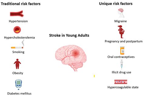 Stroke in Young Adults