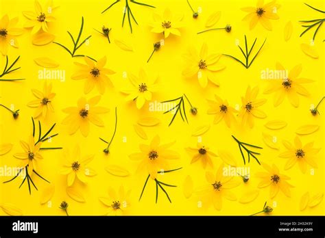 Fondo De Flores Amarillas Fotografías E Imágenes De Alta Resolución Alamy