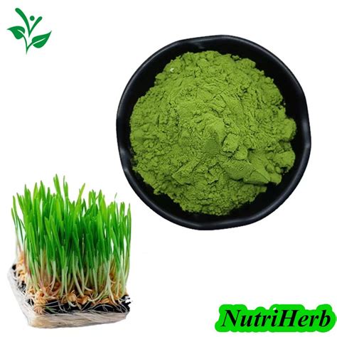 Hot Selling Water Soluble Wheatgrass Juice Powder Wheat Grass Powder Wheat Grass Powder And