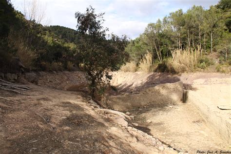 Zona Del Embalse De Buseo Chera Valencia Fotos Realiza Flickr