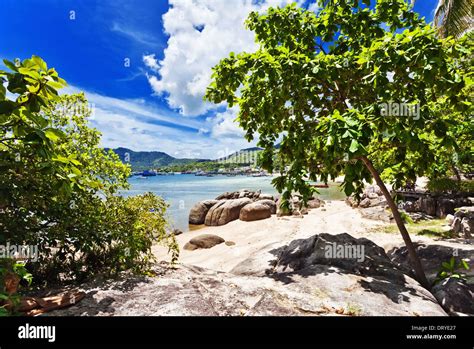 Beautiful Trop Background Hi Res Stock Photography And Images Alamy