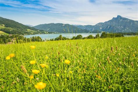 Self Guided Walking In Austrias Lake District Exodus