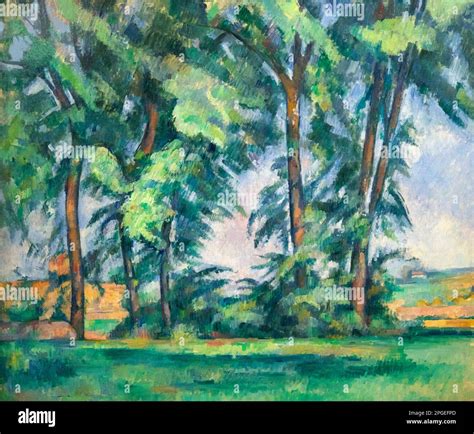 Tall Trees At The Jas De Bouffan Paul Cezanne Circa Courtauld