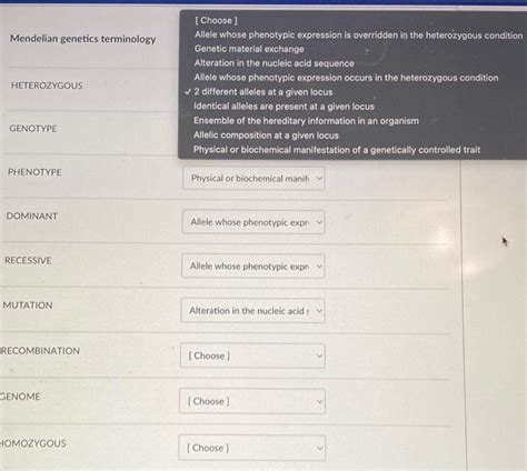 Solved Mendelian Genetics Terminology HETEROZYGOUS GENOTYPE Chegg