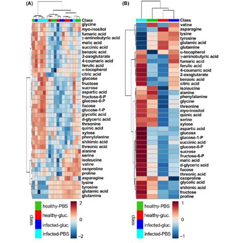 Primary Metabolite Profiles In Leaves From Healthy Or Ca L