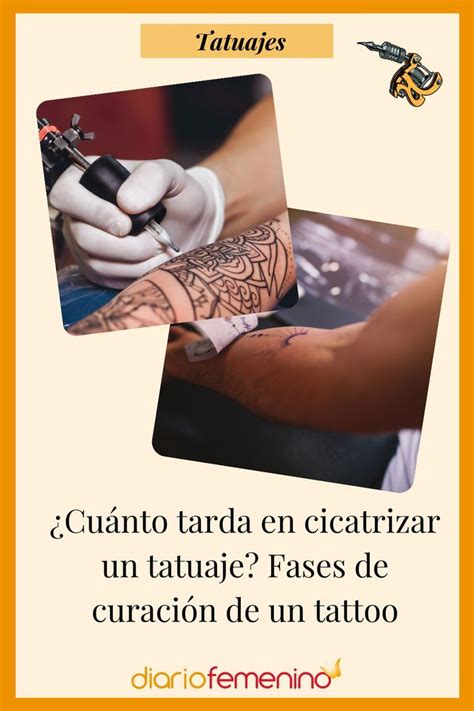 Cu Nto Tarda En Cicatrizar Un Tatuaje Fases De Curaci N De Un Tattoo