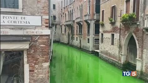 Venezia Acqua Verde Nel Giorno Della Vogalonga Tg Video Mediaset