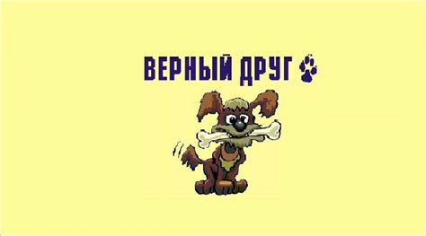 Ветеринарная клиника "Верный друг" г. Сочи, ул.Бытха 8 /11 | Sochi